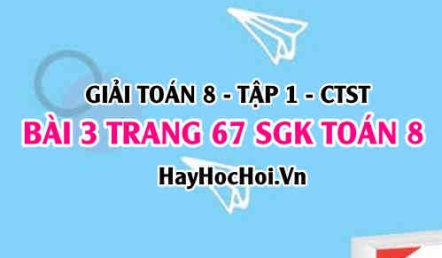 Giải bài 3 trang 67 Toán 8 Tập 1 SGK Chân trời sáng tạo